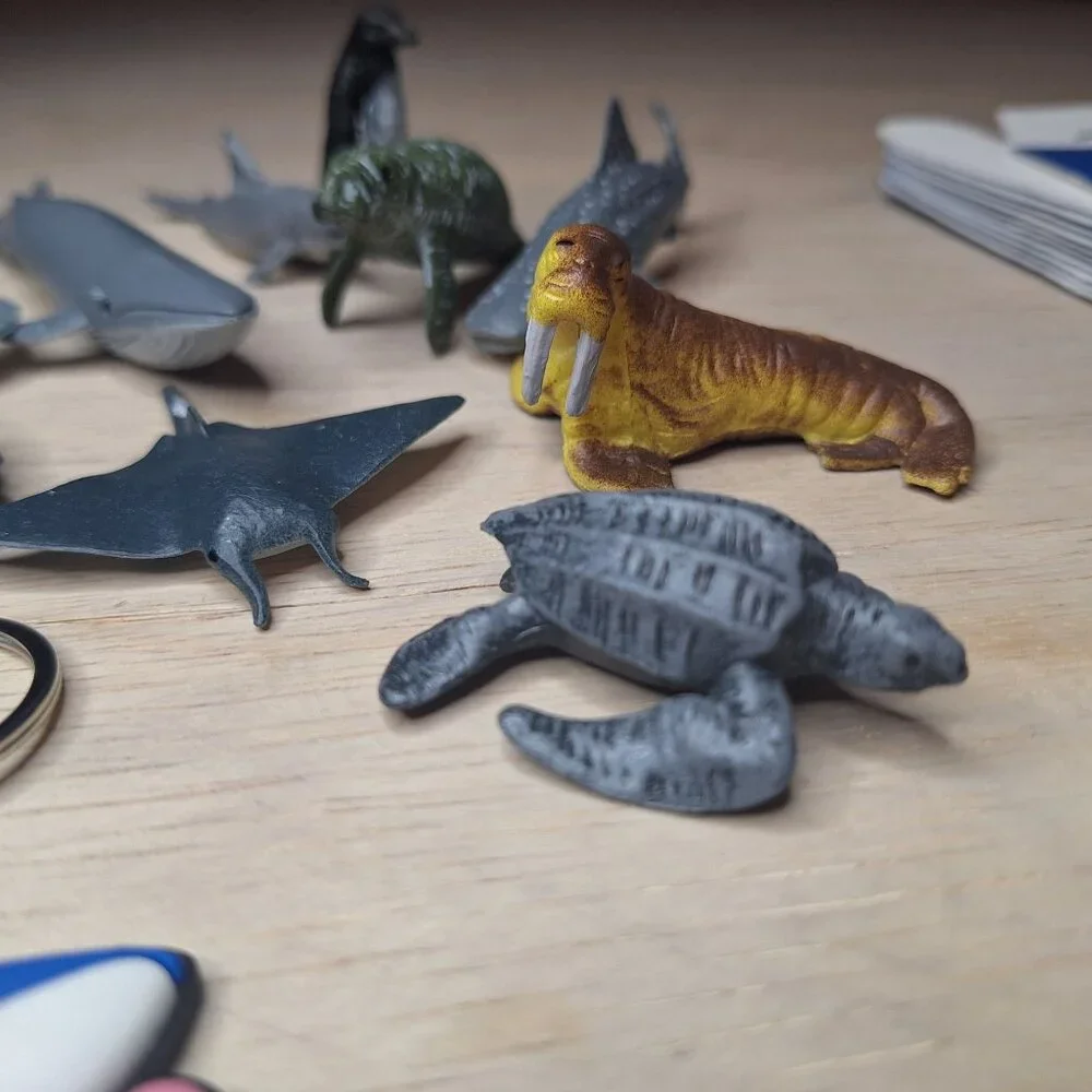 Shark Kids Party Favor Set Keychains Boxes Tattoos‎ Toy Whale Sea Life Animals